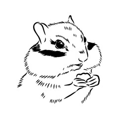 Wall Mural - Hand drawn chipmunk. Black and white vector illustration in retro style