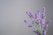 Lavender Flowers On Background  Gray Wall