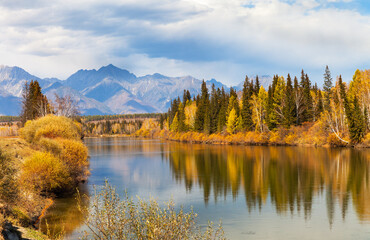 Wall Mural - a beautiful autumn landscape with yellowed trees on banks of irkut river and eastern sayan mountain 