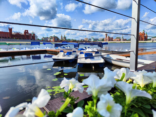 Wall Mural - Flower and Harbor with wooden blurred boats in the city. Embankment of the resort town. Sunny summer day and water landscape in summer