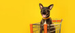 Happy dog in a supermarket trolley on a yellow background. Banner, copy space. AI generation