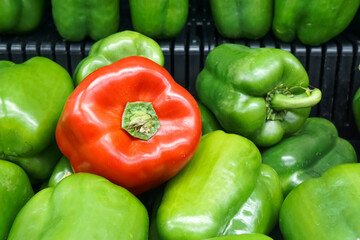 Fresh capsium or bell pepper