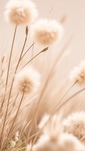 Dry Grass With Fluffy Bunny Tails On A Beige Background. Generative AI.