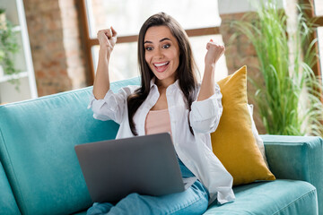 Sticker - Photo of rejoice lady sitting couch browsing web netbook winning shopping sales in living room apartment