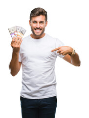 Poster - Young handsome man holding stack of dollars over isolated background with surprise face pointing finger to himself