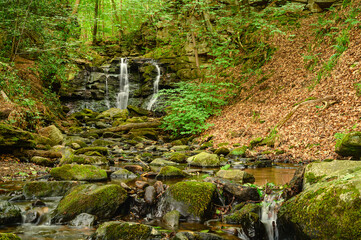 Wall Mural - wharnley burn falls prior to river derwent, a beautiful waterfall at allensford near consett, county