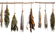herbs hanging from a bamboo pole hanging