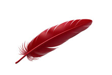 Red Feather Isolated On White