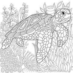 Wall Mural - Turtle coloring page. Outline sea design in mandala and zentangle style