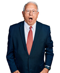 Canvas Print - Senior man with grey hair wearing business suit and glasses afraid and shocked with surprise and amazed expression, fear and excited face.