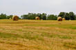 Rolled Hay Bales In The Field In Summer