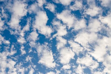 Wall Mural - Blue sky with white light delicate clouds pattern