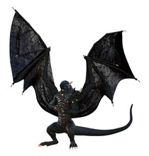 Illustration Of A Black Winged Dragon Standing With Claws Clasped And Wings Spread High On A White Background.