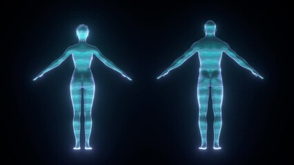 rotating holograms of male and female body, both bodies glow with blue light spinning in loopable an