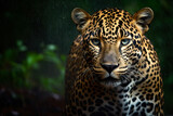 Stunning jaguar in the jungle in the rain. Amazing wildlife. generative Ai