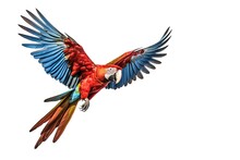 A Scarlet Macaw Parrot Flying Isolated On White Background. Generate Ai