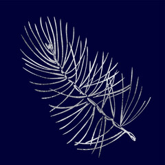 Wall Mural - christmas tree branch with silver grey foil texture isolated on dark blue background.
