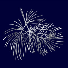 Wall Mural - christmas tree branch with silver grey foil texture isolated on dark blue background.