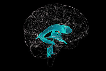 Poster - The interventricular foramen, also known as the foramen of Monro, 3D illustration.