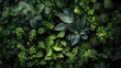 © Instacraft.Studio - Top view of tropical green leaves background
