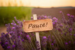 Holzschild im Lavendelfeld mit der Aufschrift Pause