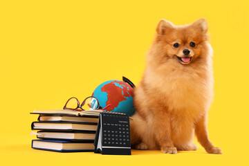 Sticker - Cute Pomeranian dog with school supplies on yellow background