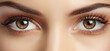 Young beautiful woman with brown eyes, closeup detail to her face, both iris visible. Generative AI