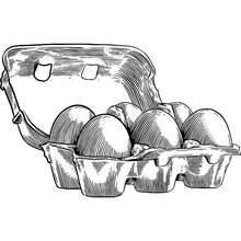 Hand Drawn Eggs In A Carton Box Sketch Illustration