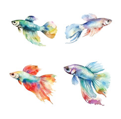 Wall Mural - Guppy fish watercolor paint collection