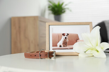 Wall Mural - Frame with picture of dog, collar and lily flower on white table indoors, space for text. Pet funeral