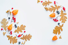 Autumn Floral Background Dried Leaves Flowers Berries Arranged In Frame On White Background Copy Space