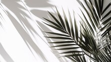 Clean And Clear White Wall With Shadow Of Tropical Plam Botany Tree Leaf Pattern Natural Design Template Mockup For Advertising Backdrop,ai Generate