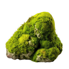 Green Moss Meadow On Rock Isolated On Transparent Background