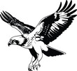 osprey Logo Monochrome Design Style