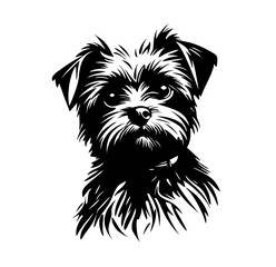 Vector isolated one single sitting Affenpinscher dog head front view black and white bw two colors silhouette. Template for laser engraving or stencil, print for t shirt