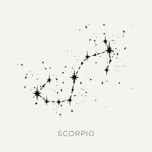 Star Constellation Zodiac Scorpio Line Black White Vector