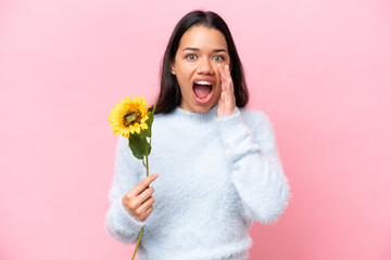 Young Colombian woman holding sunflower isolated on pink background with surprise and shocked facial expression