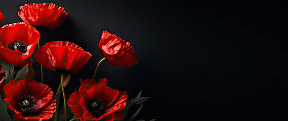 Red poppies on black background. Creative Poppy flowers banner background. Remembrance Day. AI generative