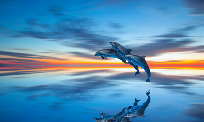 Poster - Group of dolphins jumping up from the sea amazing sunset in the background - Beautiful seascape with Solar eclipse