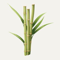  a vibrant green bamboo plant against a clean white backdrop