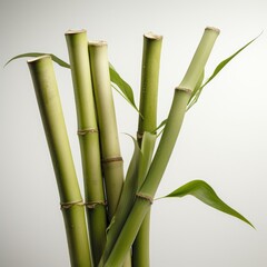  a vibrant and tall bamboo plant with lush green leaves