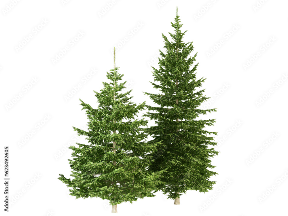 christmas tree isolated on white Stock Photo | Adobe Stock