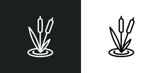 Wall Mural - reeds icon isolated in white and black colors. reeds outline vector icon from nature collection for 