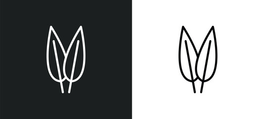 Wall Mural - lemon leaf icon isolated in white and black colors. lemon leaf outline vector icon from nature collection for web, mobile apps and ui.