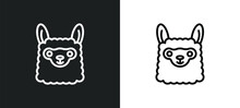 Llama Icon Isolated In White And Black Colors. Llama Outline Vector Icon From Animals Collection For Web, Mobile Apps And Ui.