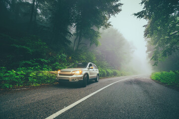 Wall Mural - car travel on the road in a forest in misty foggy morning in the mountain range