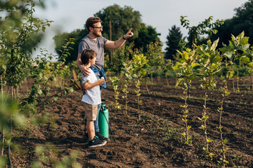 Wall Mural - Side view of a Caucasian man standing in the orchard with his son and talking to him.