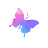 Fototapeta Motyle - Butterfly on white background