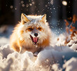 Fox running in the snow in wild winter nature - AI generated
