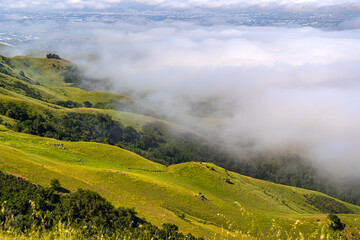 Sticker - Bay area view from Mission Peak, Fremont, California. Scenic landscape with clouds.